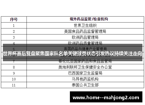 世界杯赛后复盘聚焦国家队名单关键球员状态引发热议持续关注走向