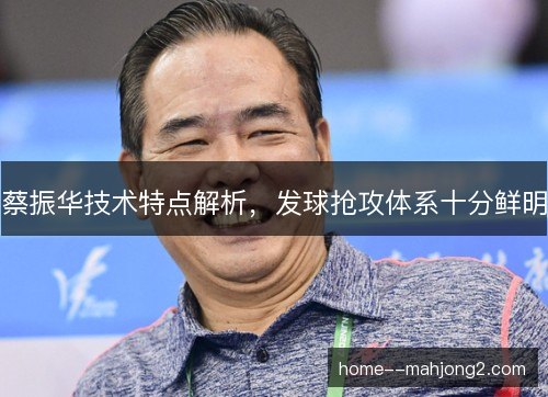 蔡振华技术特点解析,发球抢攻体系十分鲜明 蔡振华技术特点解析,发球抢攻体系十分鲜明